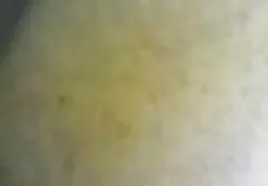 Une femme curieuse de porno streaming film complet passer le casting en premier.